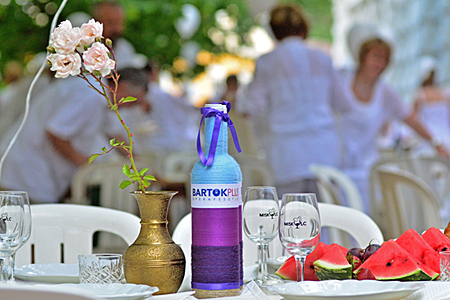 Miskolcvegyesvacsi feherbenEV1