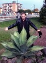 batki_ovatifolia_ravenna