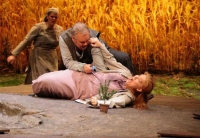 JENŮFA (Její pastorkyňa)